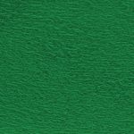 Forrest Green