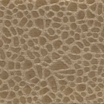 Desert Sand