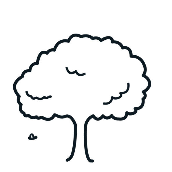 We plant trees